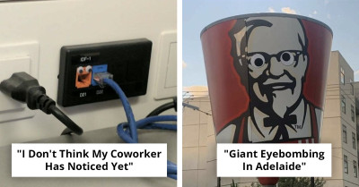 55 Random Feel-Good Posts That Don't Take Life Too Seriously