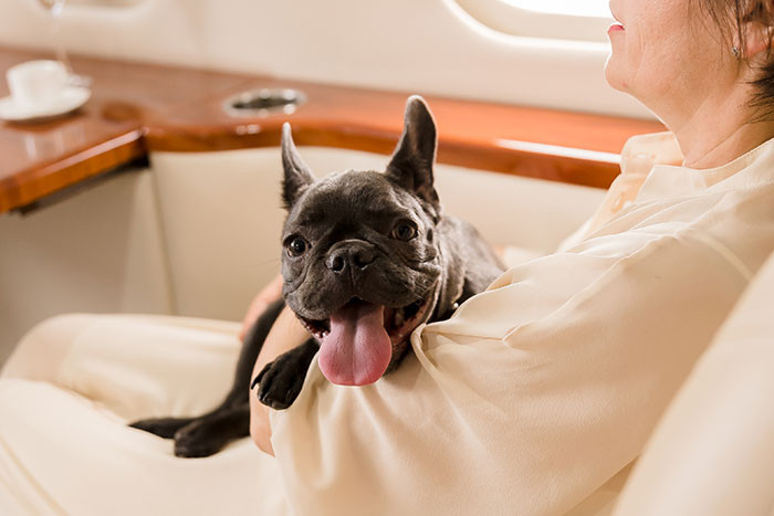 2. $75K for a round trip to Aspen… just to get your dog groomed