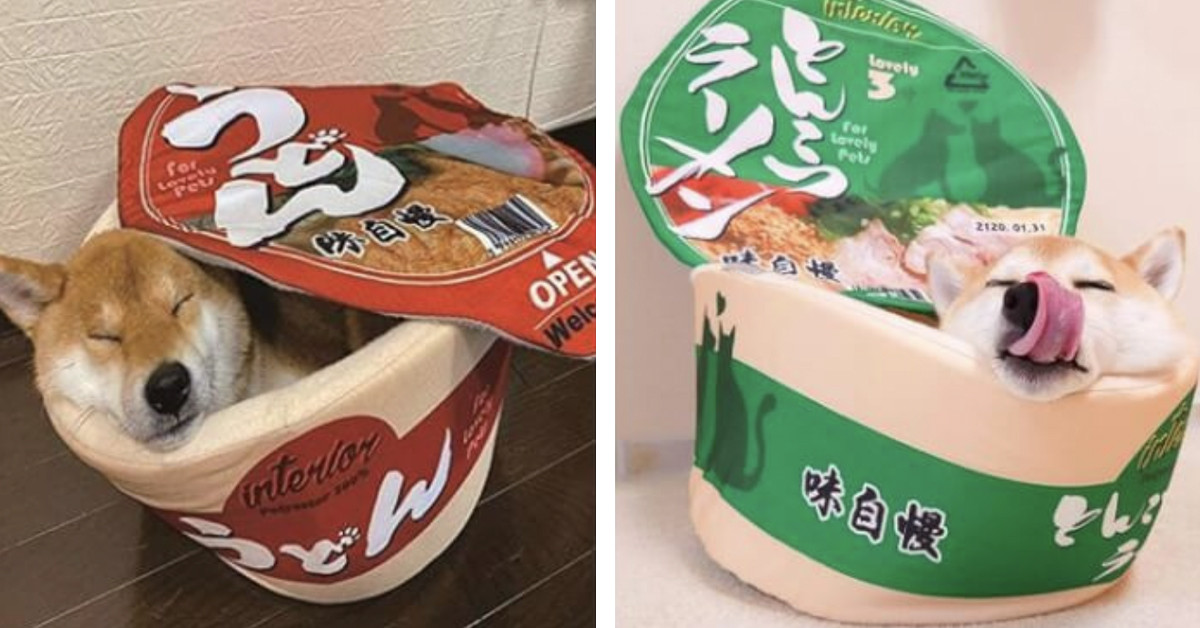 13 Superlative Designs That Are So Brilliant They Can Drain Our Bank Accounts