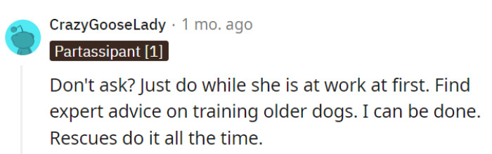 If rescues can teach old dogs new tricks, so can they!