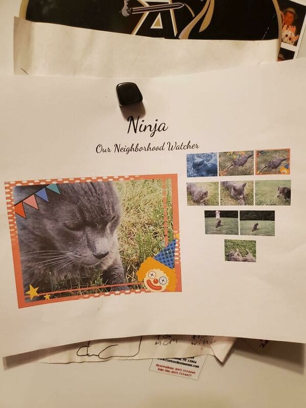 2. “So My Cat Died A Few Days Ago And The Neighbors Kids Found Out And My This Collage Of Him. I’m In Tears”