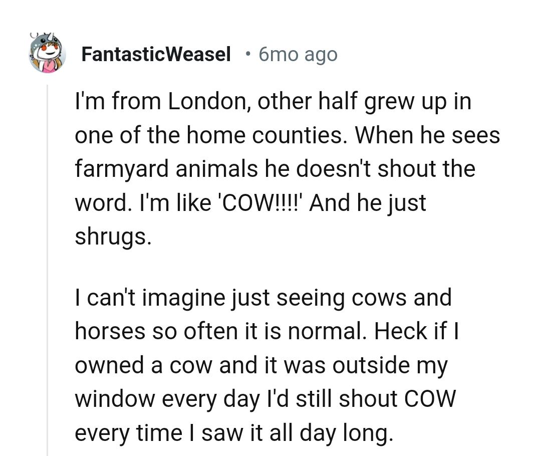 14. Owning a cow which is outside your window
