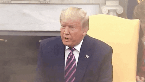 28. Trump will never be held responsible for his actions