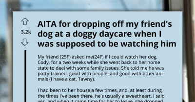 Misbehaving Pup Lands in Doggy Daycare After Friend Struggles With Dogsitting Duties