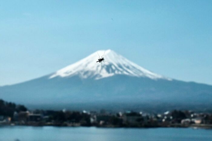 11. Time to figure out where it's actually heading