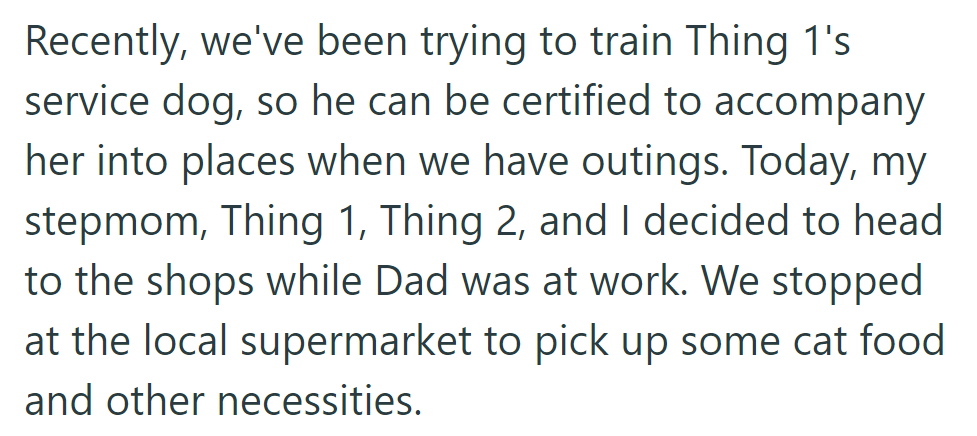 Stepmom, Thing 1, Thing 2, and he went to the supermarket. They are training a service dog for Thing 1.