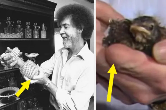 14. You may not have noticed, but Bob Ross actually has a missing finger (on his left hand, right on his palette).