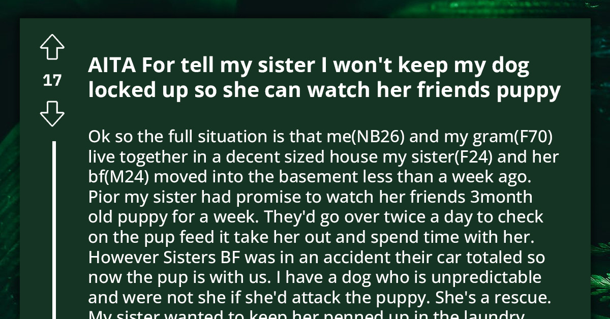 Redditor Doesn't Want To Keep Their Unpredictable Dog Locked Up While Sister Is Puppy-Sitting For A Friend