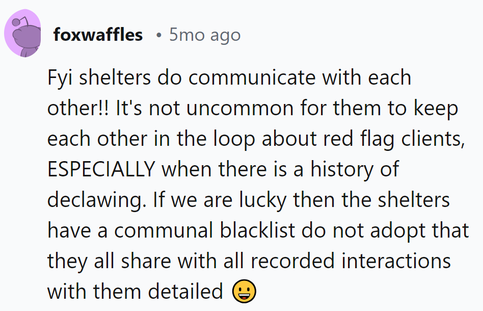 Shh... the shelters have a gossip network too!