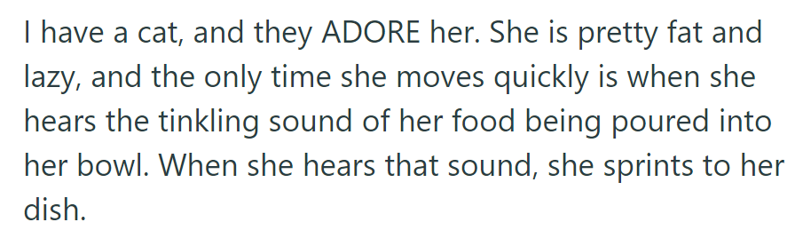 Roommates adore OP's lazy cat, but she's lightning-fast when food hits the bowl.