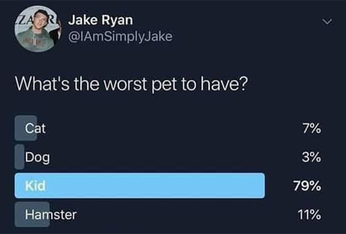 2. The other pets didn't even stand a chance.