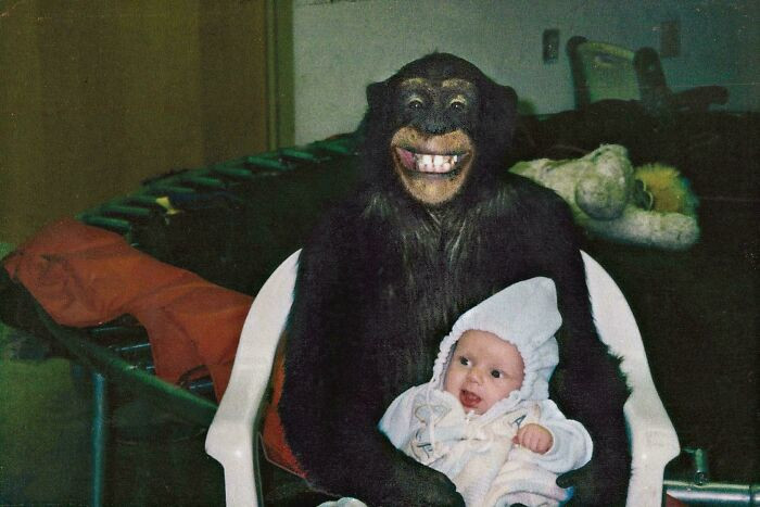 'Travis, A Chimpanzee Who Eventually Went On To Horrifically Maul His Owner’s Friend, Holding A Baby'