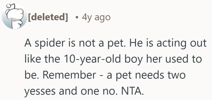 Growing up sometimes means accepting that not every childhood idea belongs in the living room.