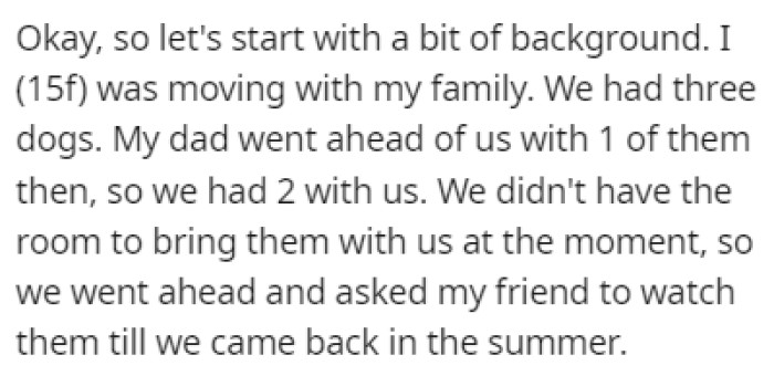 OP Was Moving with Her Family and They Had Three Dogs