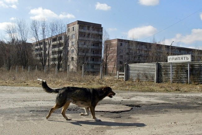 Chernobyl Nuclear Power Plant in Ukraine.