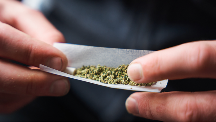 Close-up of marijuana buds with text about cardiovascular health risks.