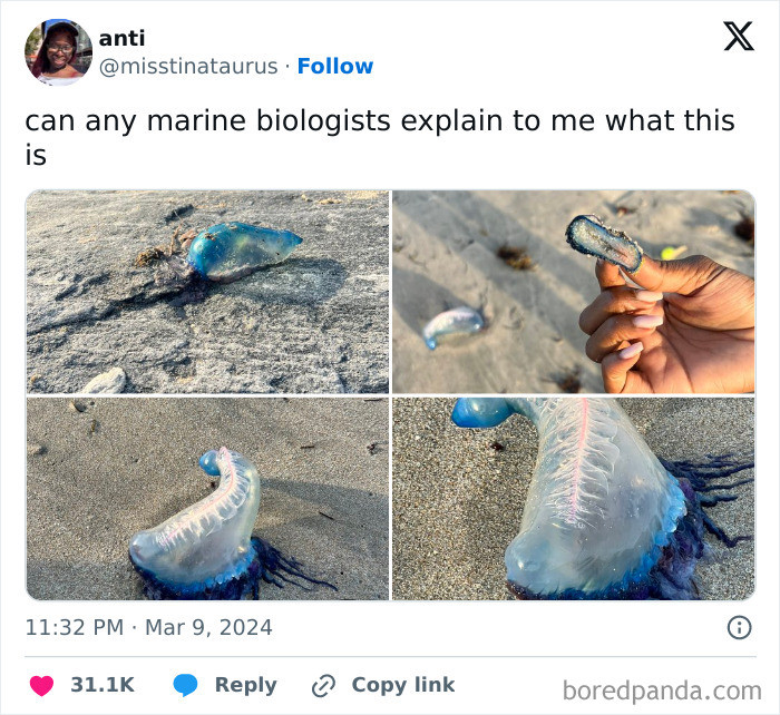 "Rule Of Nature: If It Has Bright And Unique Color, Don’t Touch It Because It’s Most Likely Venomous"