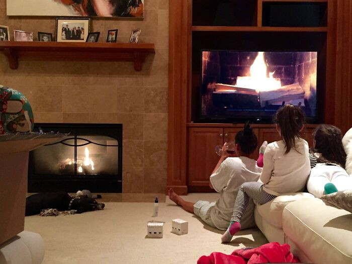 "Occasionally The Dog Is The Smartest One In My Family"