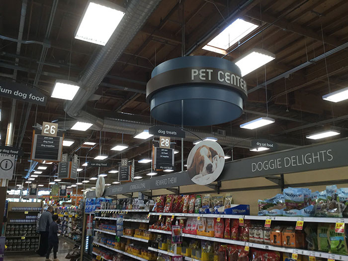 11. A former employee of a pet store witnessed the downfall of the store due to a new manager's destructive ways