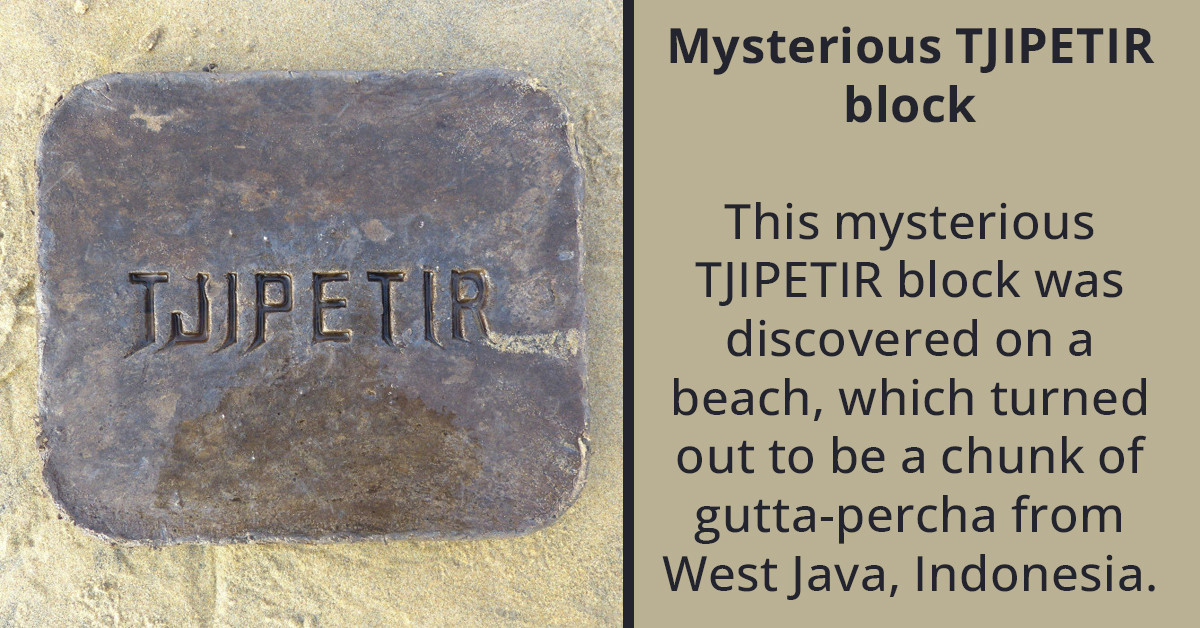 Giant Alien-like Creature Washes Up On The Beach Of New Zealand, Inspires Redditors To Share Other Mysterious Things Found On Beaches