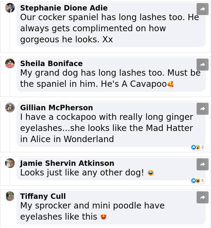 People conveyed their admiration.