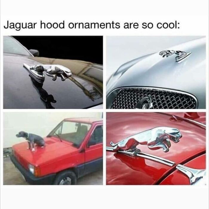 37. Here Is a Demonstration in Person: