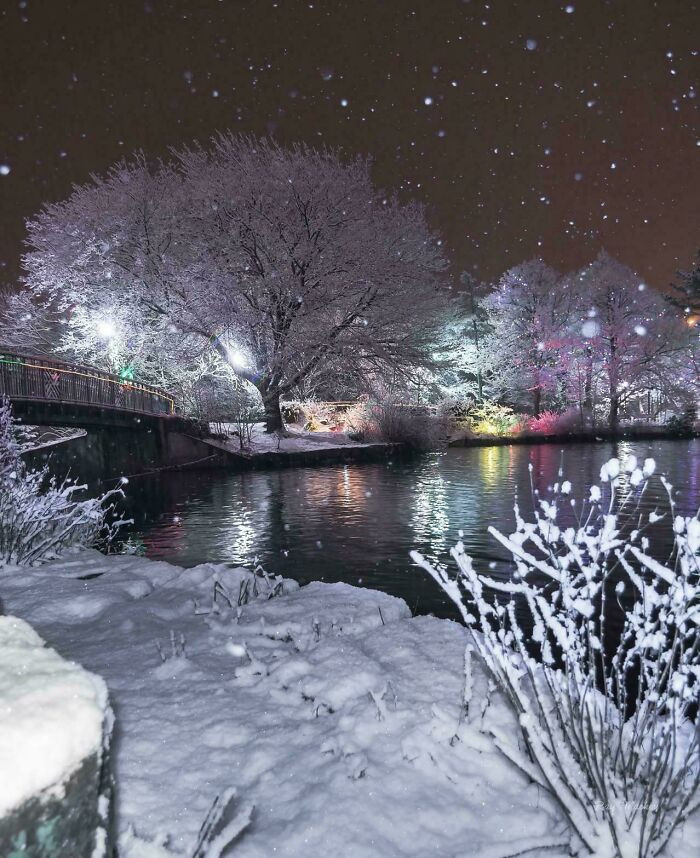 St. John’s Newfoundland And Labrador, Canada