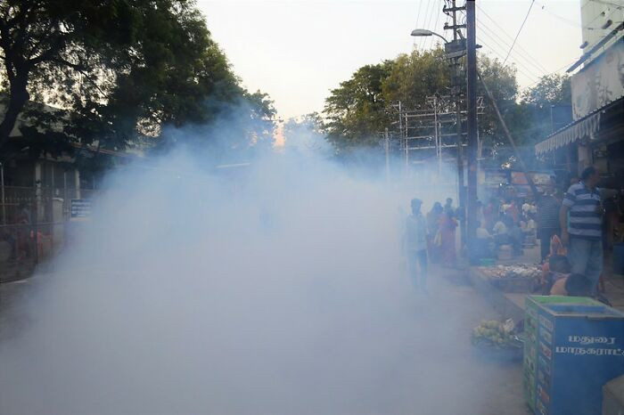 17. Interviewers smoked despite the candidate informing them he was allergic