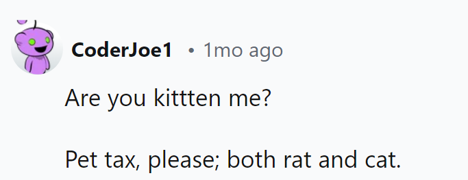 Are You Kitten Me? Show the Fur Brigade: Rat and Cat, Please!