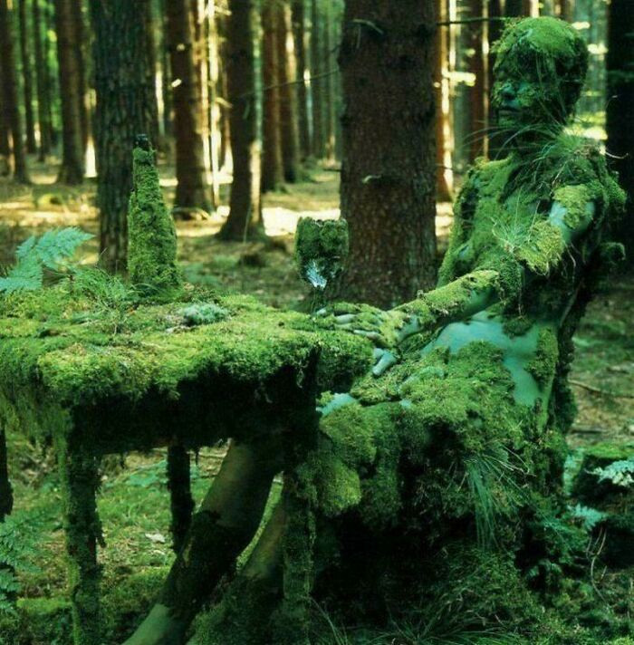 'Mossy Mannequin In The Forest'
