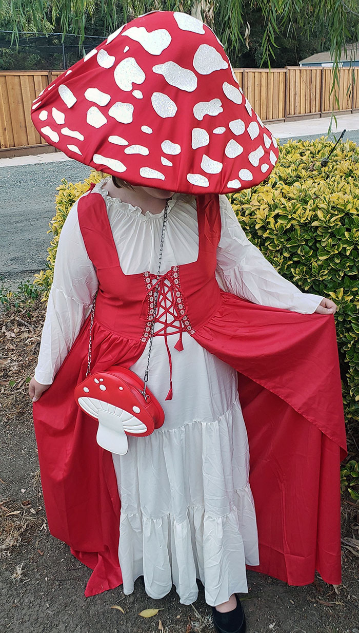 3. My Daughter's Mushroom Costume