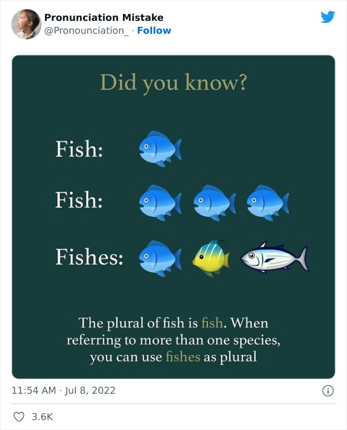1. The plural of fish is fish... Interesting