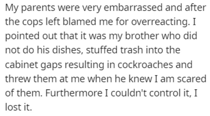 OP's parents were embarrassed by the situation and they blamed everything on OP