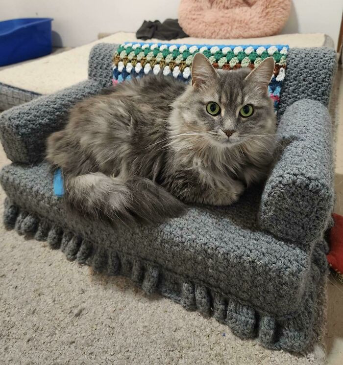 7. Finally A Place To Show Off Laurie’s Couch