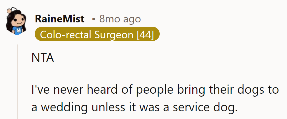 Wedding day, not a dog day afternoon! No fur-riends on the guest list.
