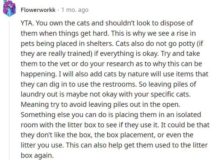 Taking steps to address litter box preferences, box placement, and providing a suitable environment can go a long way in resolving the issue and ensuring the well-being of the cats.
