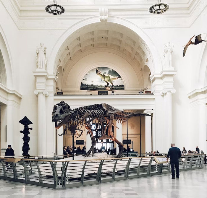 10. Explore museums in NYC or DC.