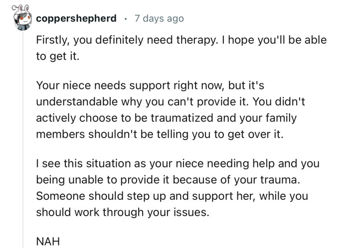 “Your Niece Needs Support Right Now, but It's Understandable Why You Can't Provide It.”
