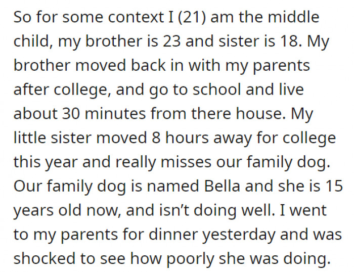 OP is the middle child out of three children—he has an older brother (23) and a younger sister (18)—the brother moved back in after college while the sister moved out for college. They have a 15-year-old family dog (Bella), and she is in poor condition—OP did not expect her to look worse than what he had anticipated.