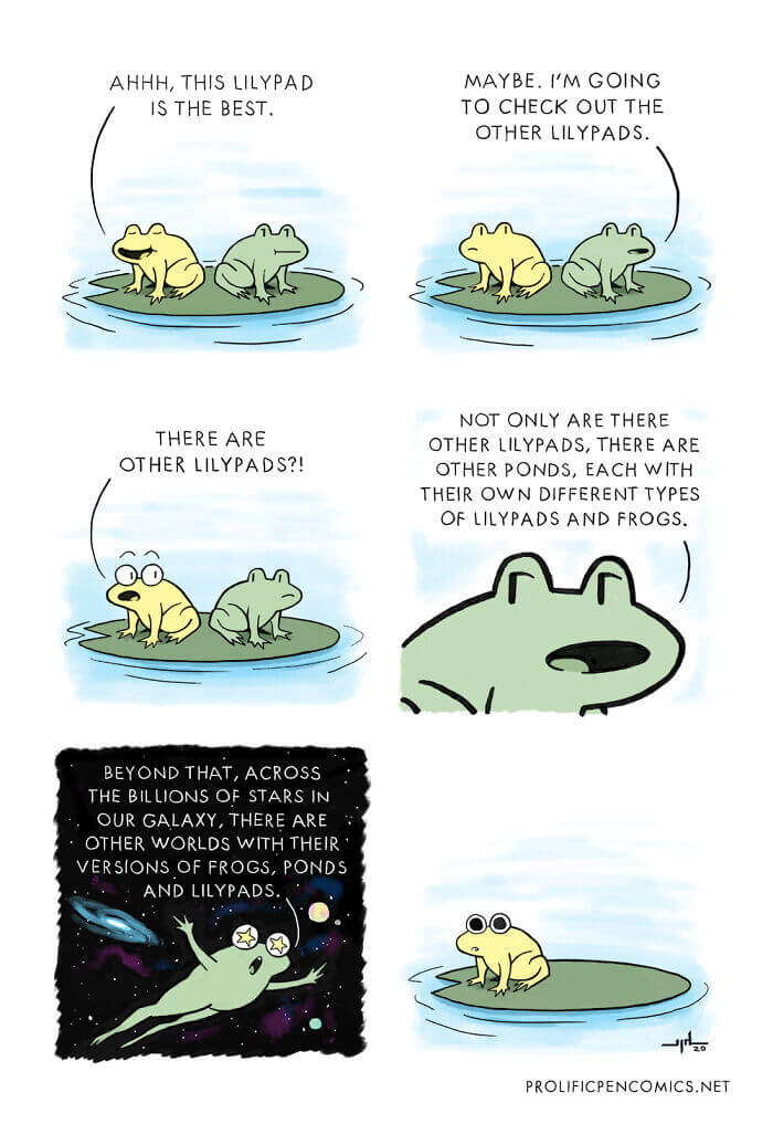 22. The frog itself is also a universe