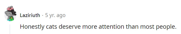 Whiskers over words, any day!