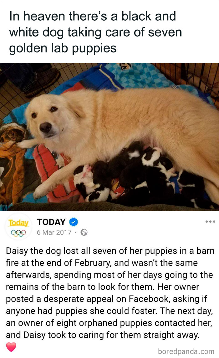 21. This is so lovely