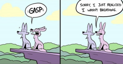20 Of The Most Hilarious And Relatable Animal Comics By "Awoo Comic"