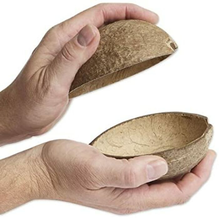 15. Only the deserving will comprehend...this is a horse.