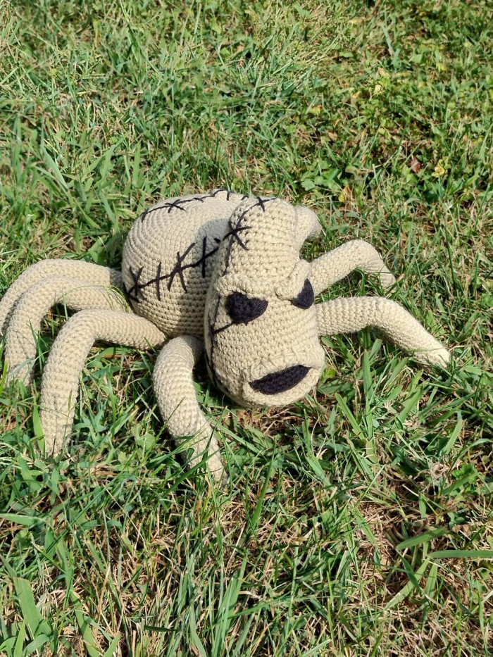 "New Pics Of My Cursed Spider"