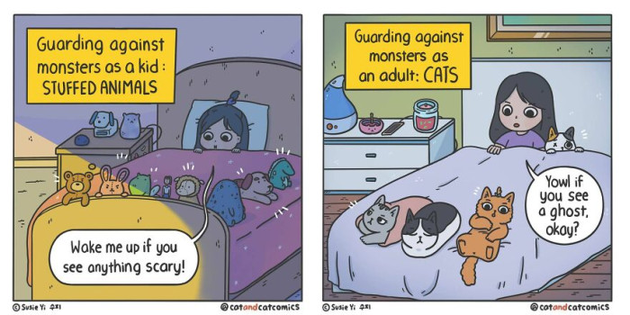 9. Stuffed animals versus cats