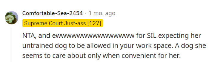 Expecting access to their workspace for her untrained dog, which she only cares for when convenient, is unreasonable.