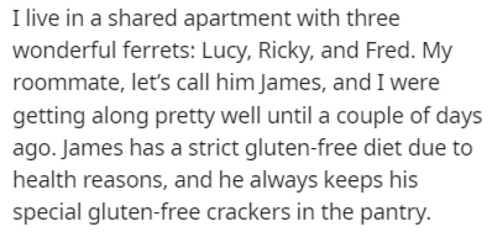 OP lives in a shared apartment with his three ferrets and a roommate, James