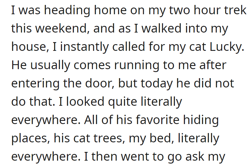 Upon returning home, she called for her cat Lucky, who typically greeted her eagerly. Strangely, he was nowhere to be found, despite her checking all his usual spots.