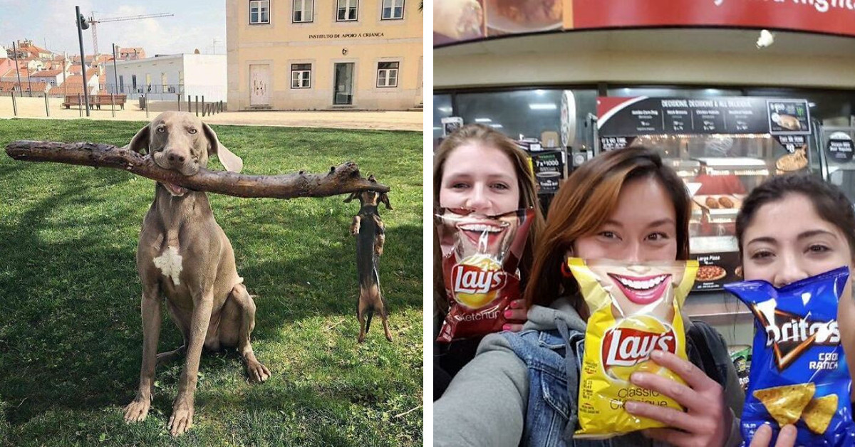 30 Snapshots With Hidden Hilarious Details You Might Miss At First Look